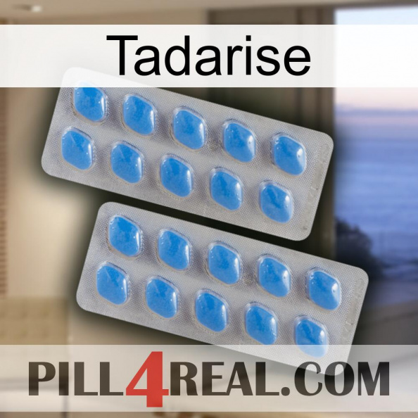 Tadarise 23.jpg